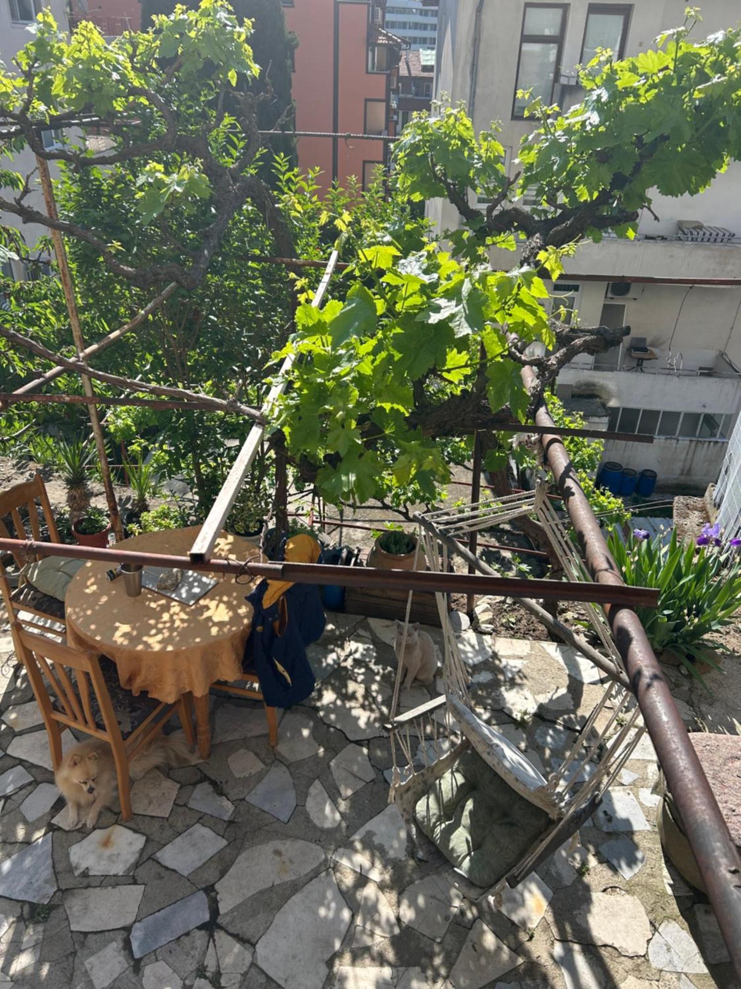 Apartamento Didi House Sandanski Exterior foto